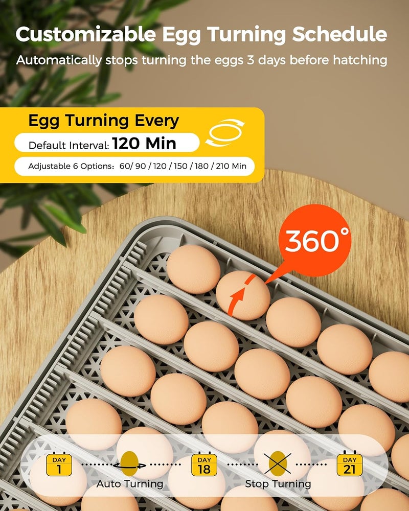 Besly 48 Egg Incubator for Hatching with Automatic Egg Turning and Humidity Control, Egg Candler, Poultry Egg Incubator for Chicken, Ducks, Goose, Pigeon, Quail, ideal for Farm, Classroom, Home - Image 3